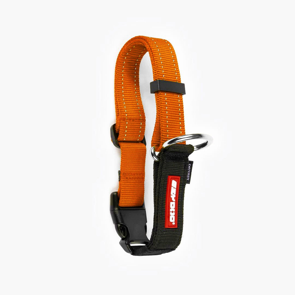 Martingale Dog Collar product image 31