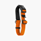 Martingale Dog Collar product image 32