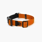 Martingale Dog Collar product image 33