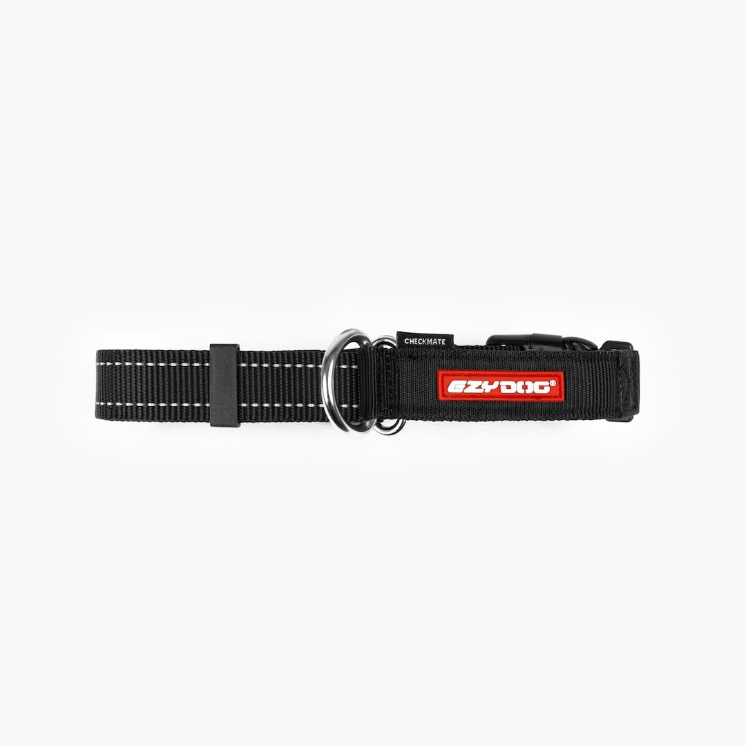 Martingale Dog Collar product image 34