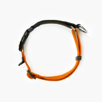 Martingale Dog Collar product image 35