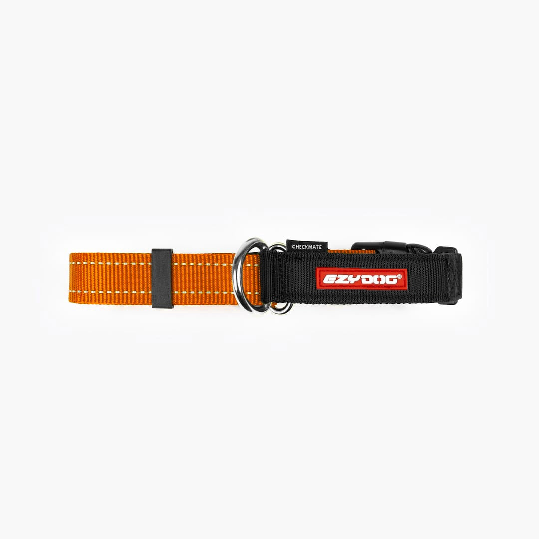 Martingale Dog Collar product image 36