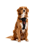 Dog Harness product image 2