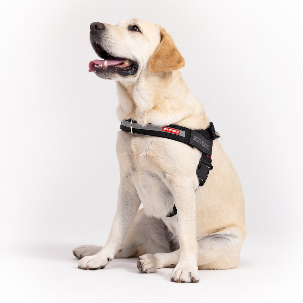 Dog Harness product image 2