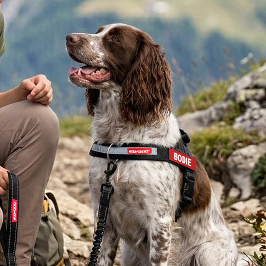 Dog Harness product image 3