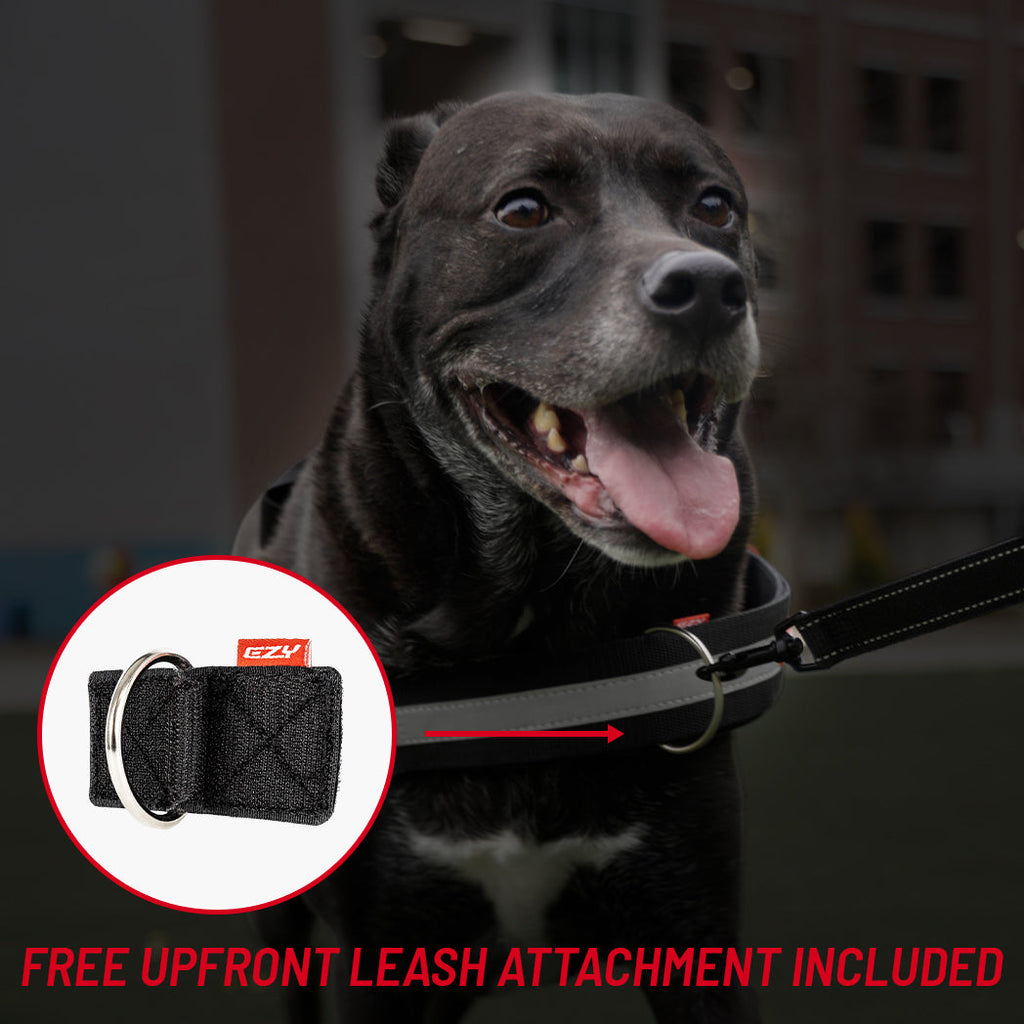 Dog Harness product image 4