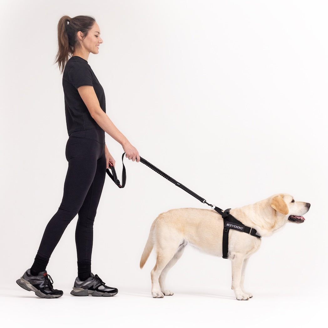 Dog Harness product image 5