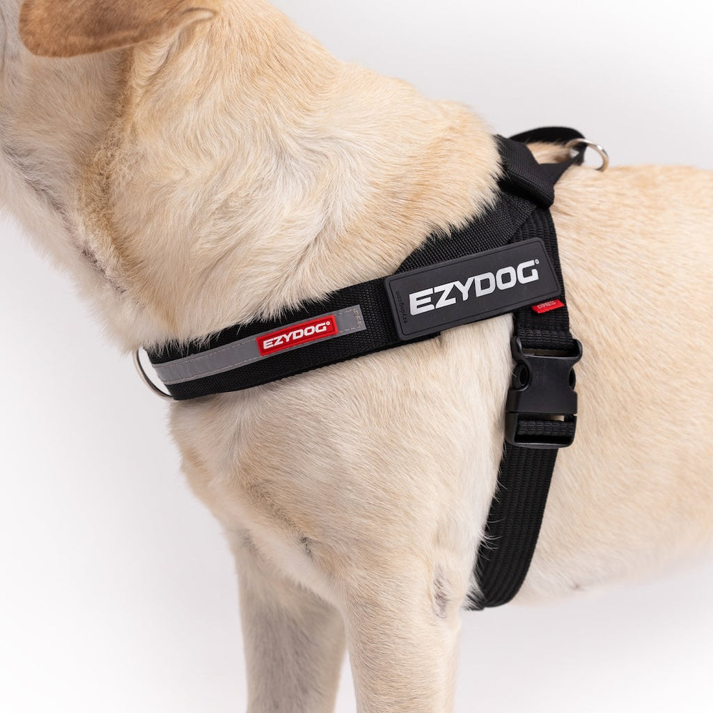 Dog Harness product image 6