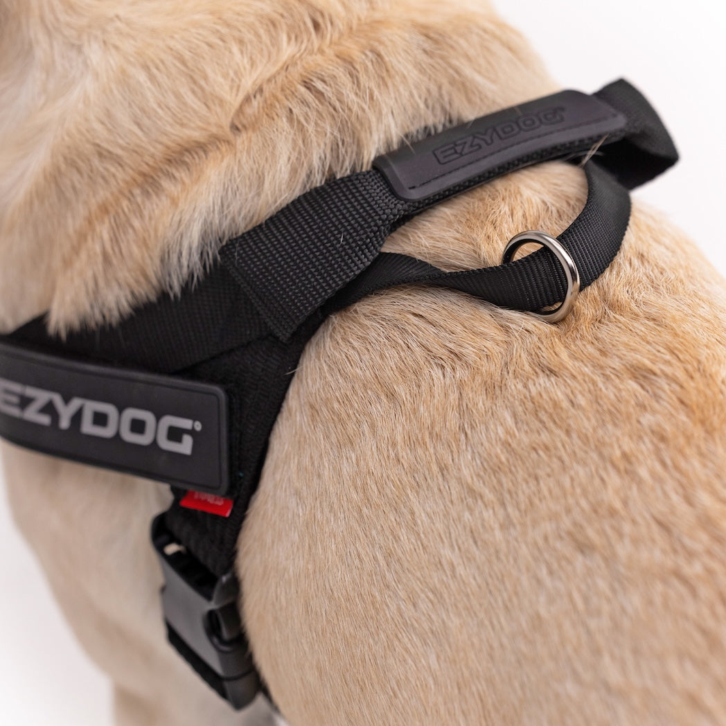 Dog Harness product image 7