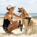 Dog Harness product image 14