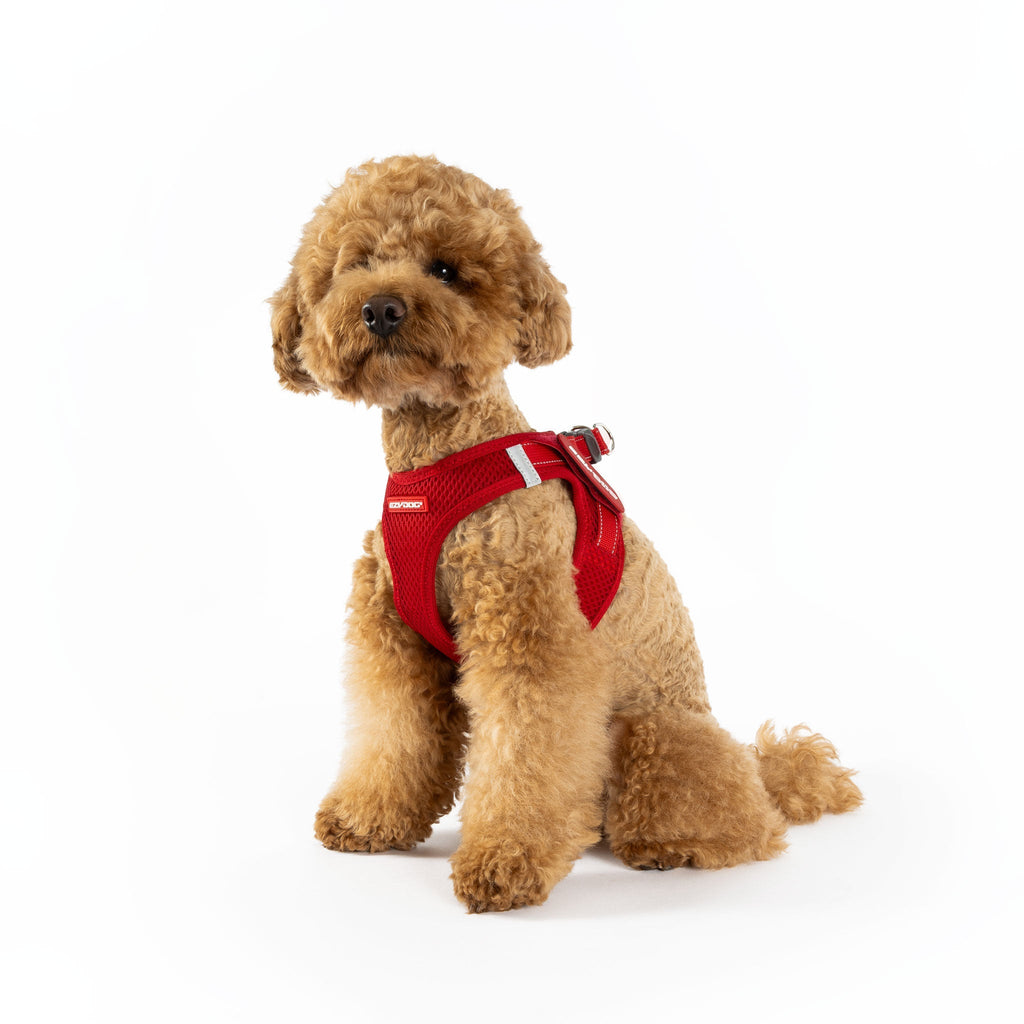 Dog Harness product image 2