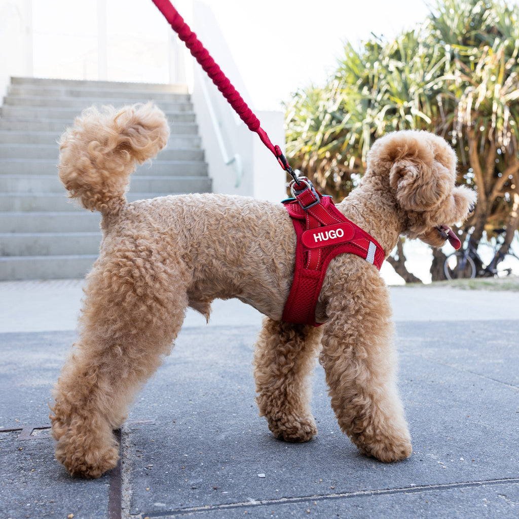 Dog Harness product image 3