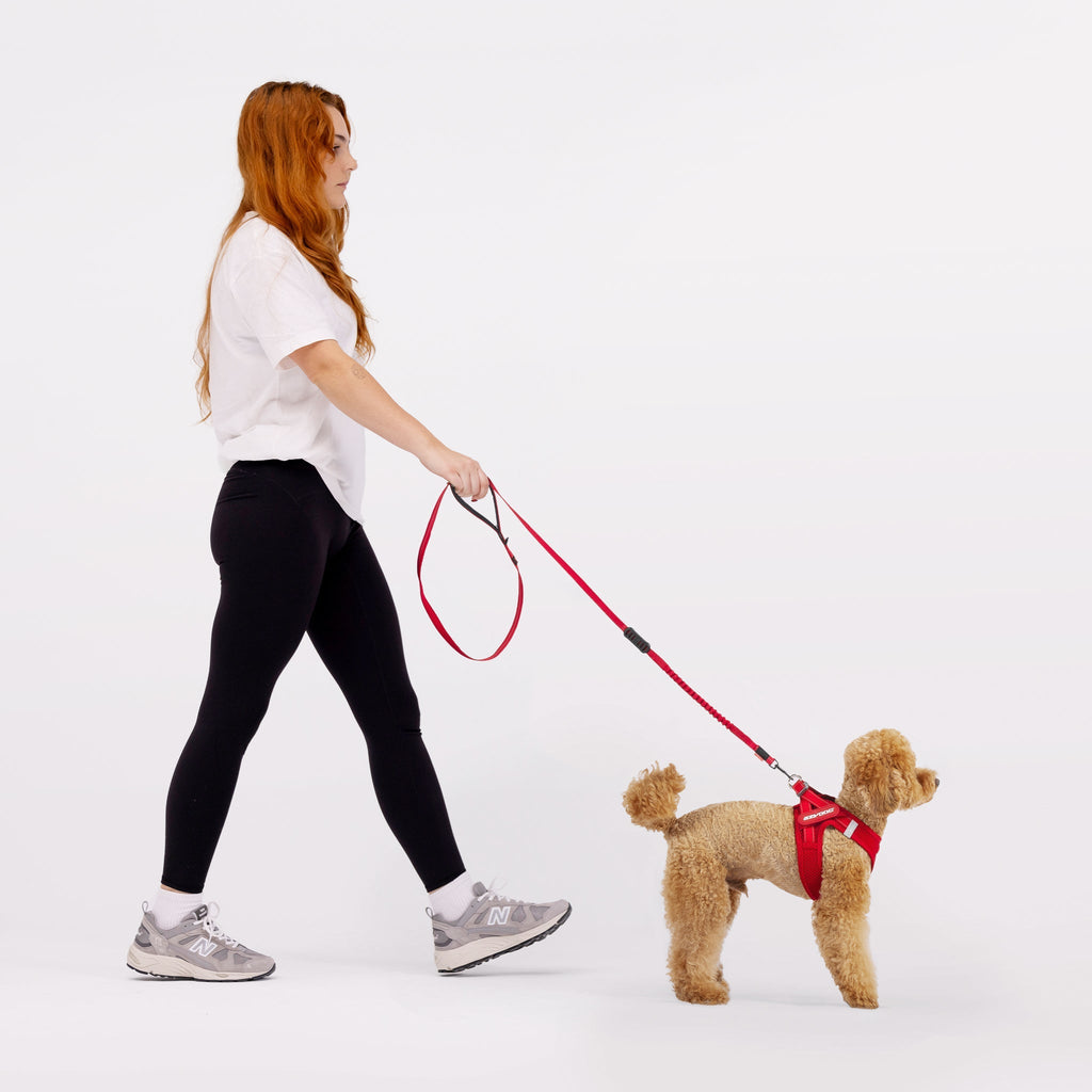 Dog Harness product image 4