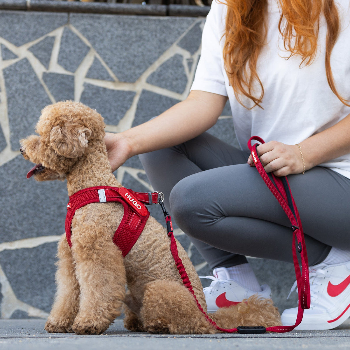 Dog Harness product image 7