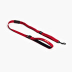Dog Leash product image 1