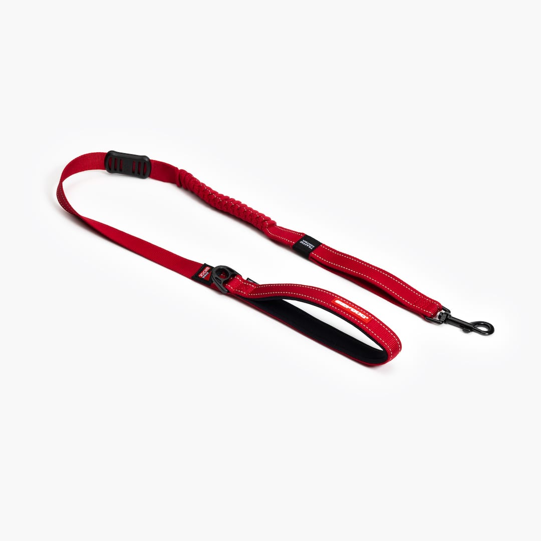 Dog Leash product image 1