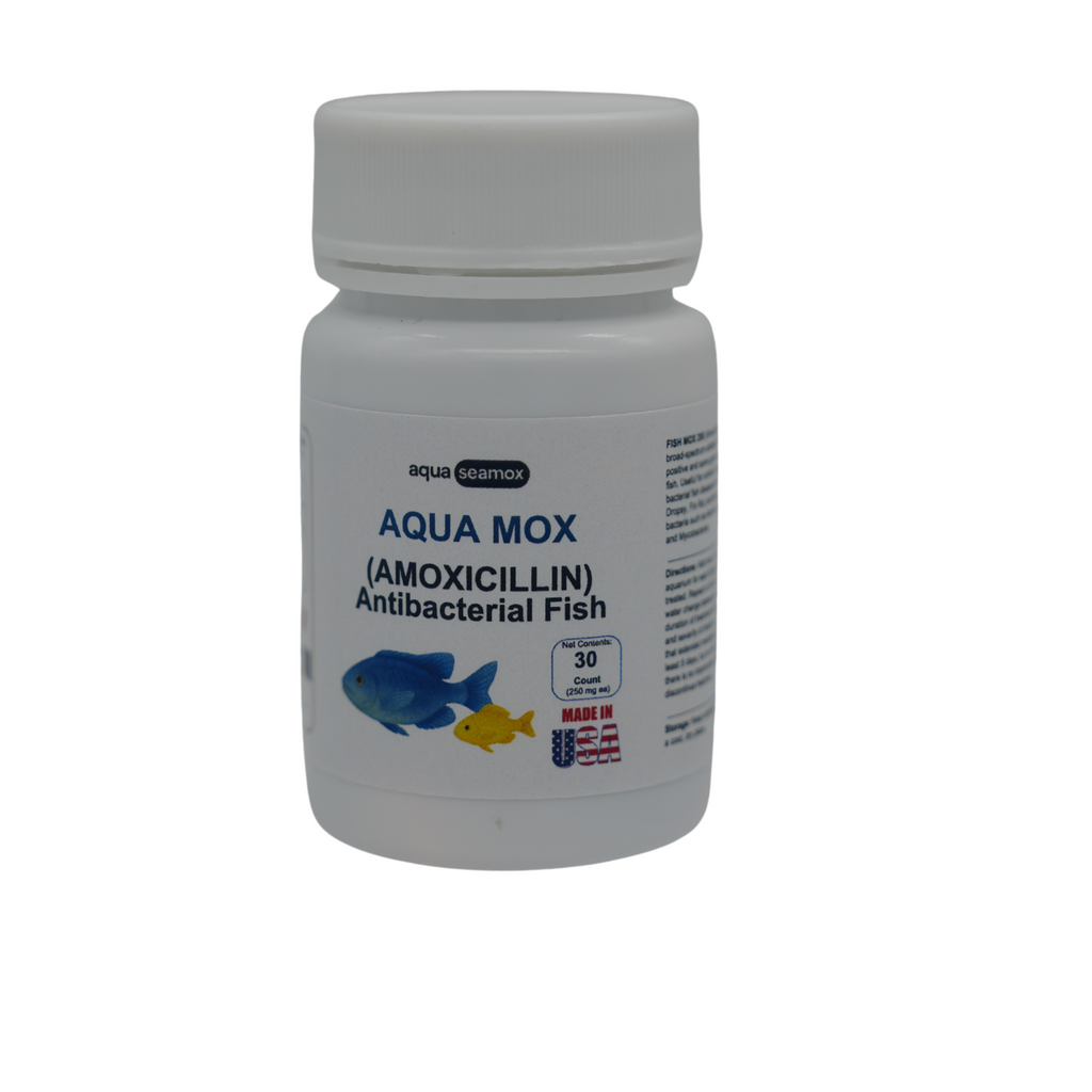 Fish Mox product image 1