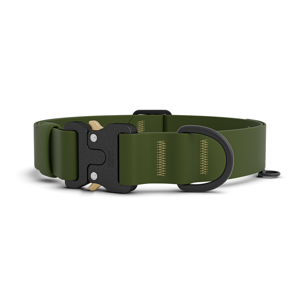 Standard Dog Collar product image 1
