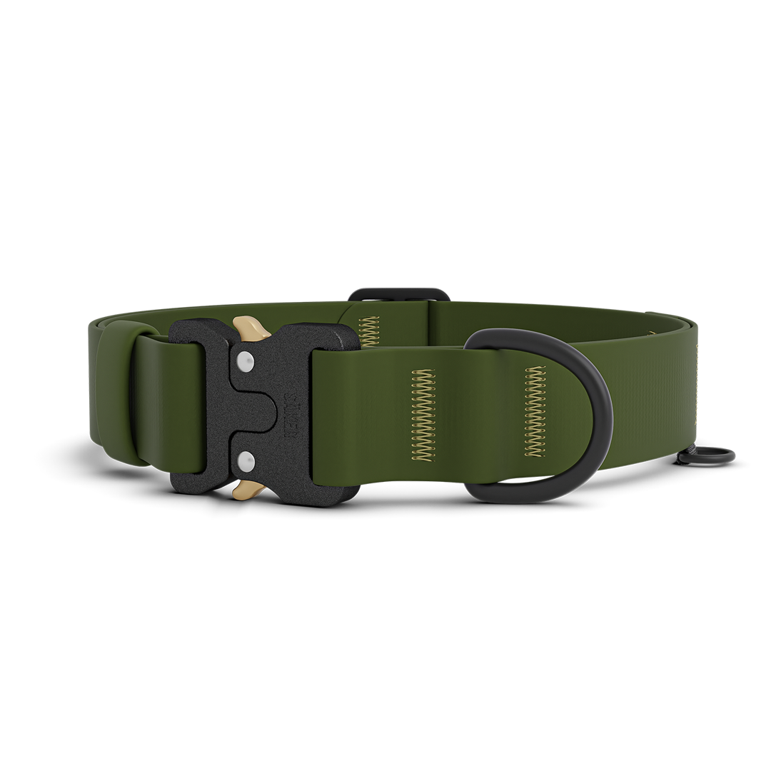 Standard Dog Collar product image 1