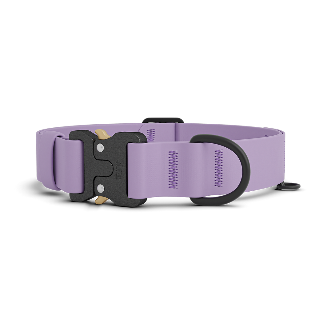 Dog Collar product image 1