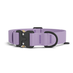 Dog Collar product image 1