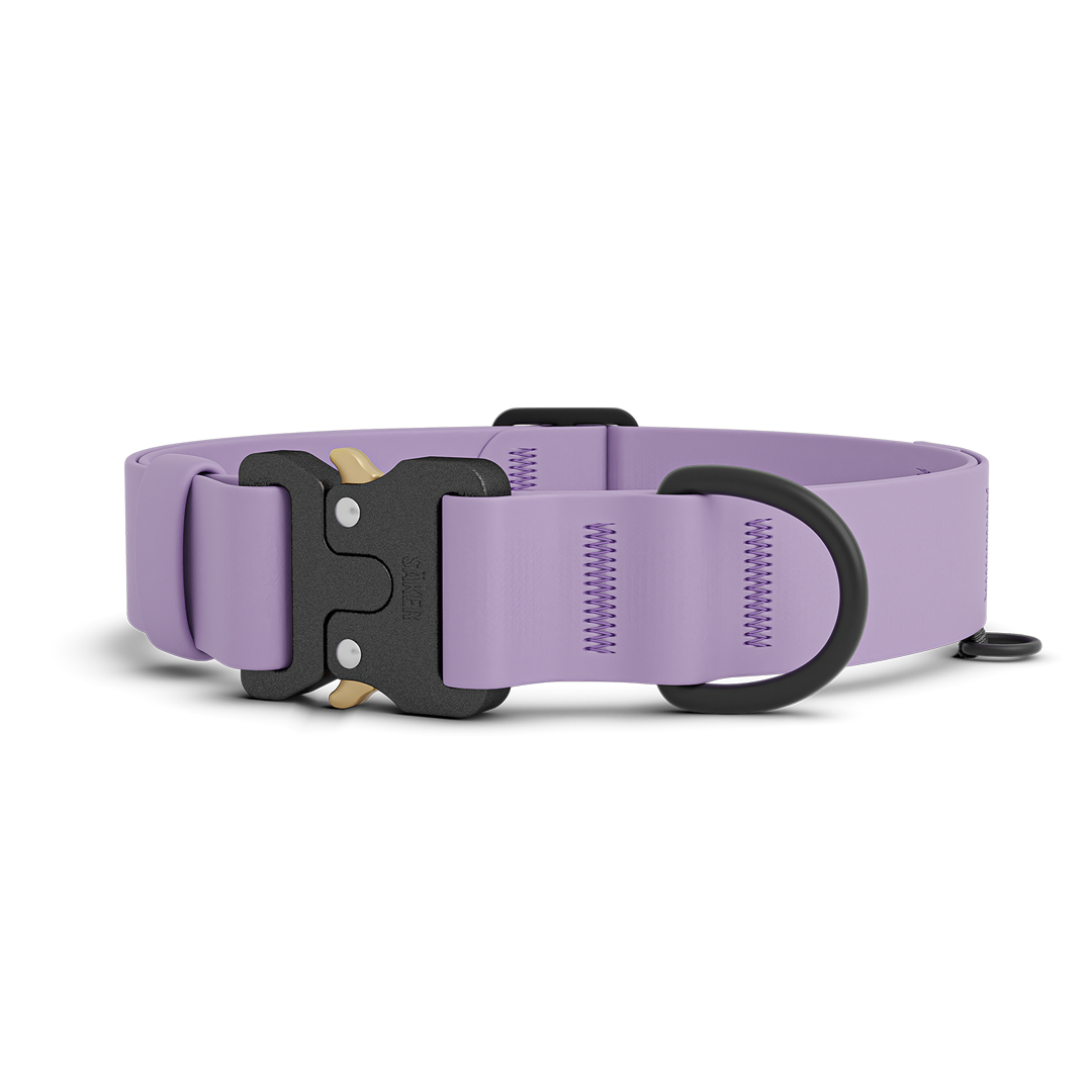 Dog Collar product image 1
