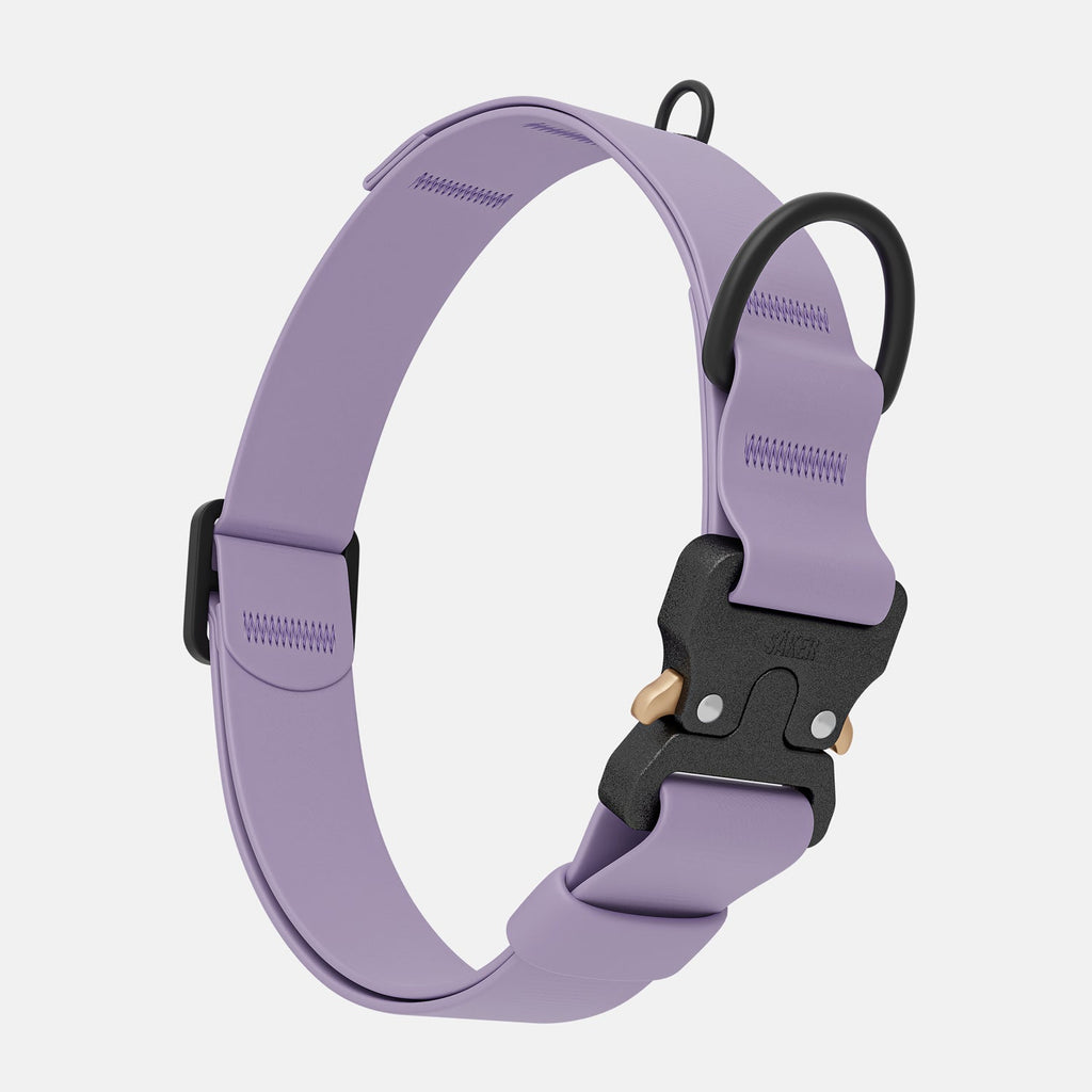Dog Collar product image 2