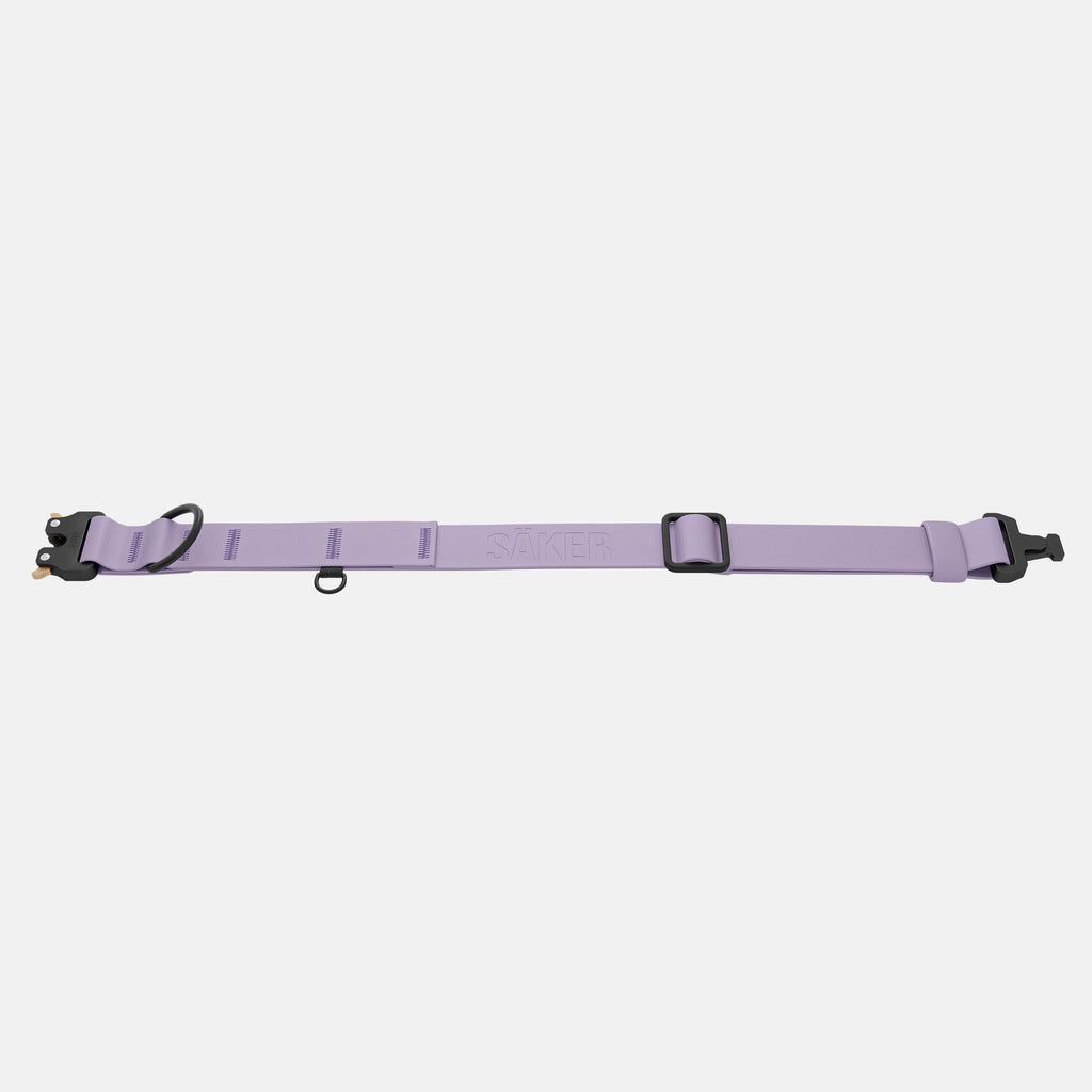 Dog Collar product image 3