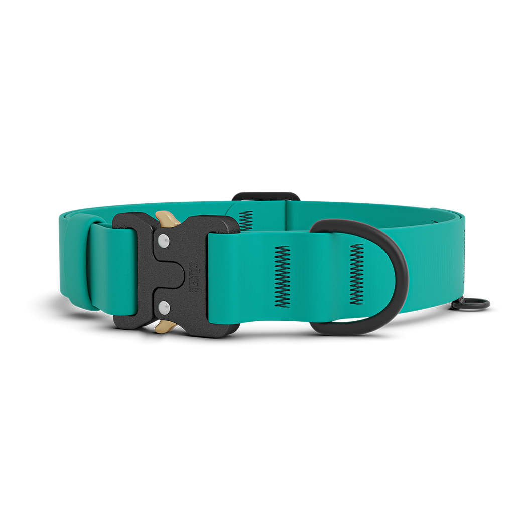 Dog Collar product image 1