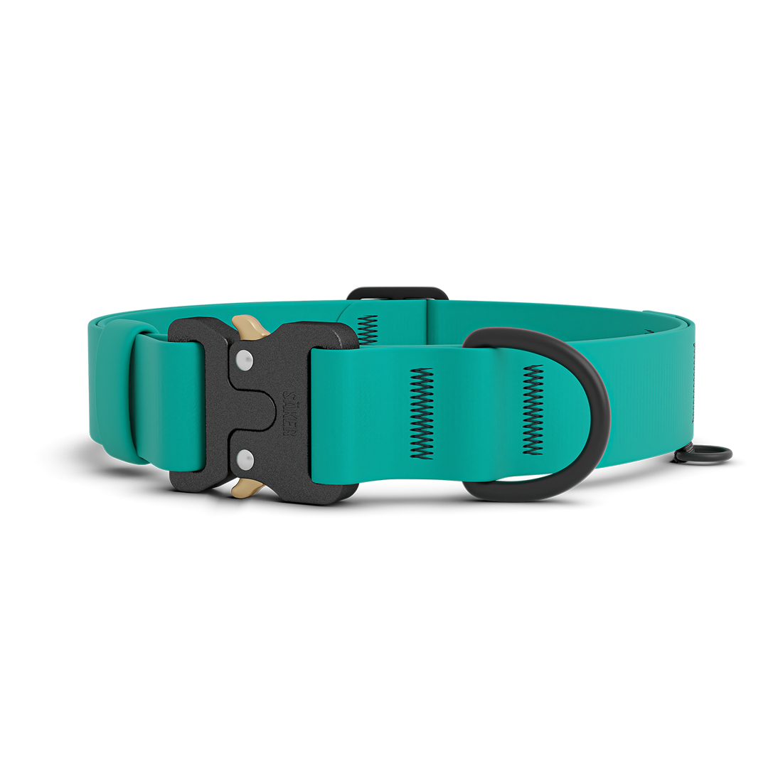 Dog Collar product image 1