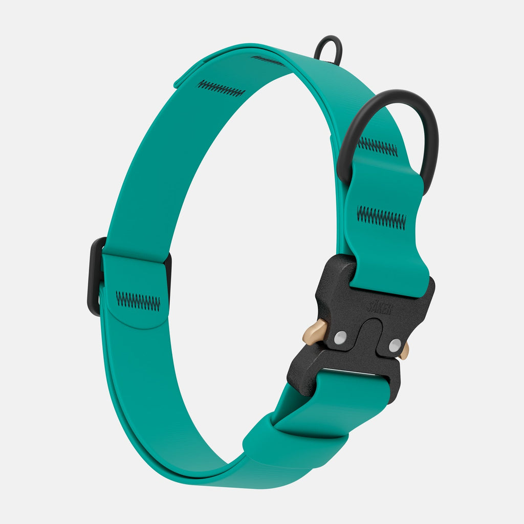 Dog Collar product image 2