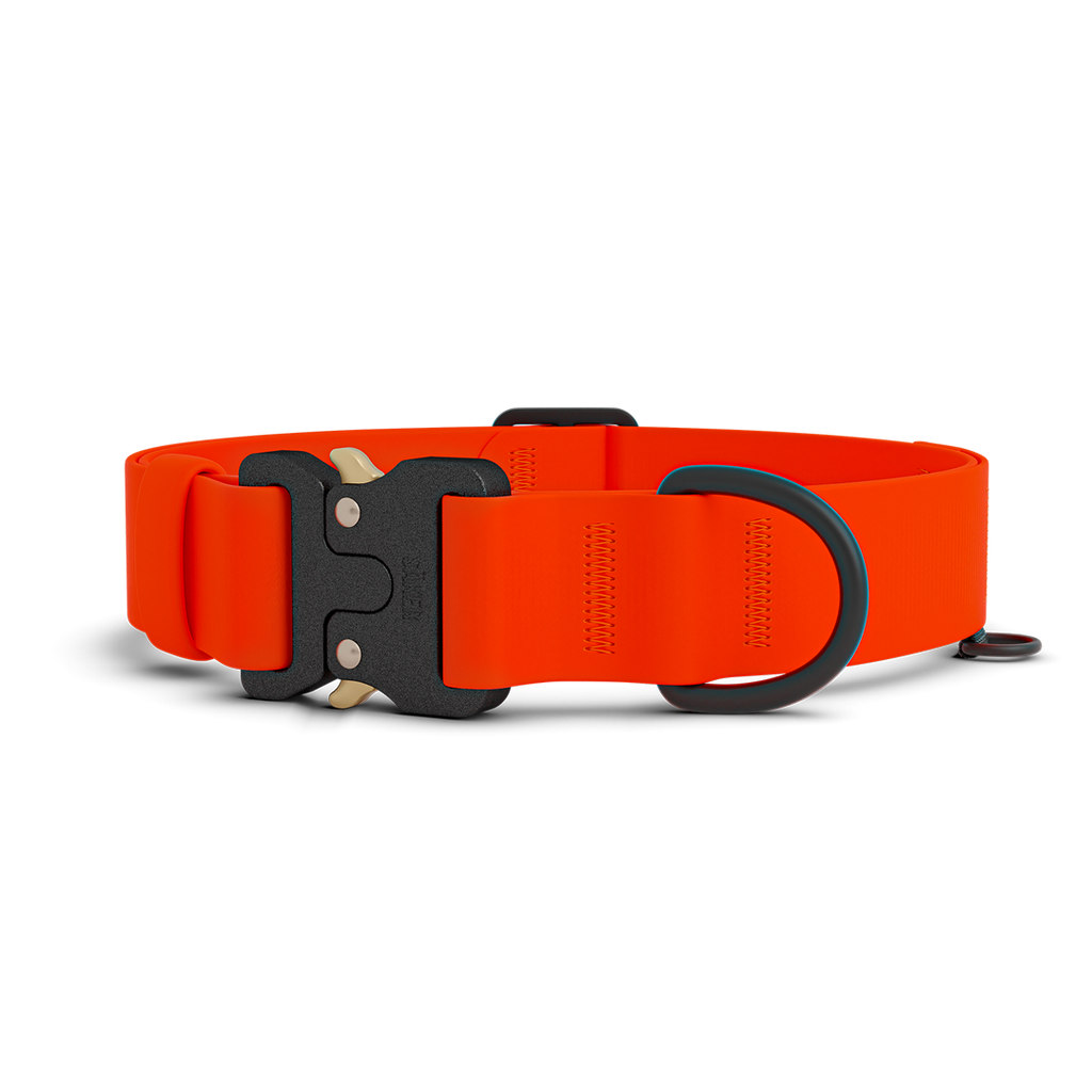 Dog Collar product image 1