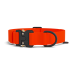 Dog Collar product image 1