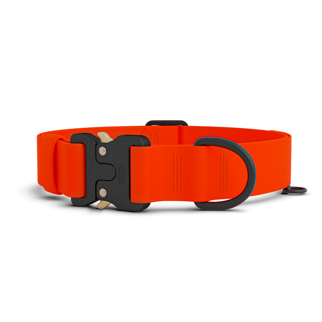 Dog Collar product image 1