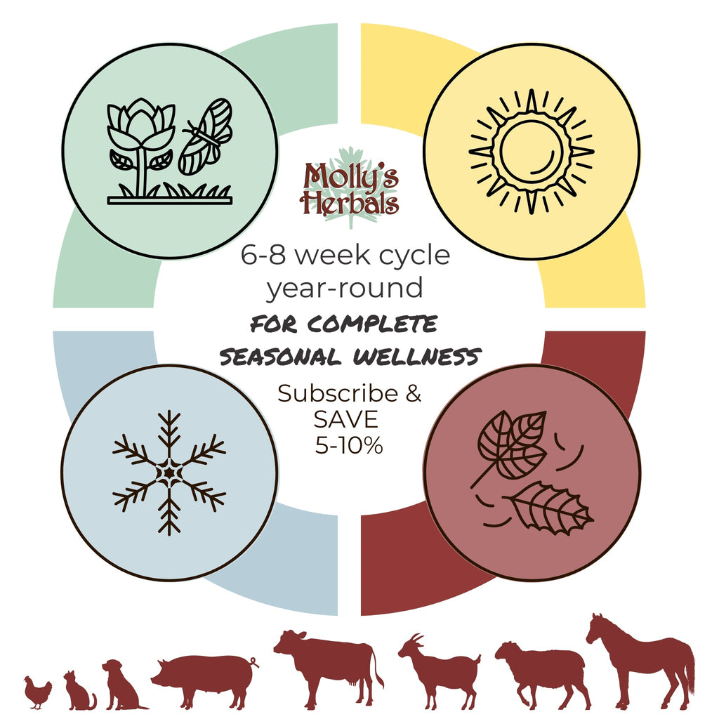 Formula 2 Herbal Weekly Worm Formula Two for All Animals - Molly's Herbals