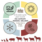 Formula 2 Herbal Weekly Worm Formula Two for All Animals - Molly's Herbals