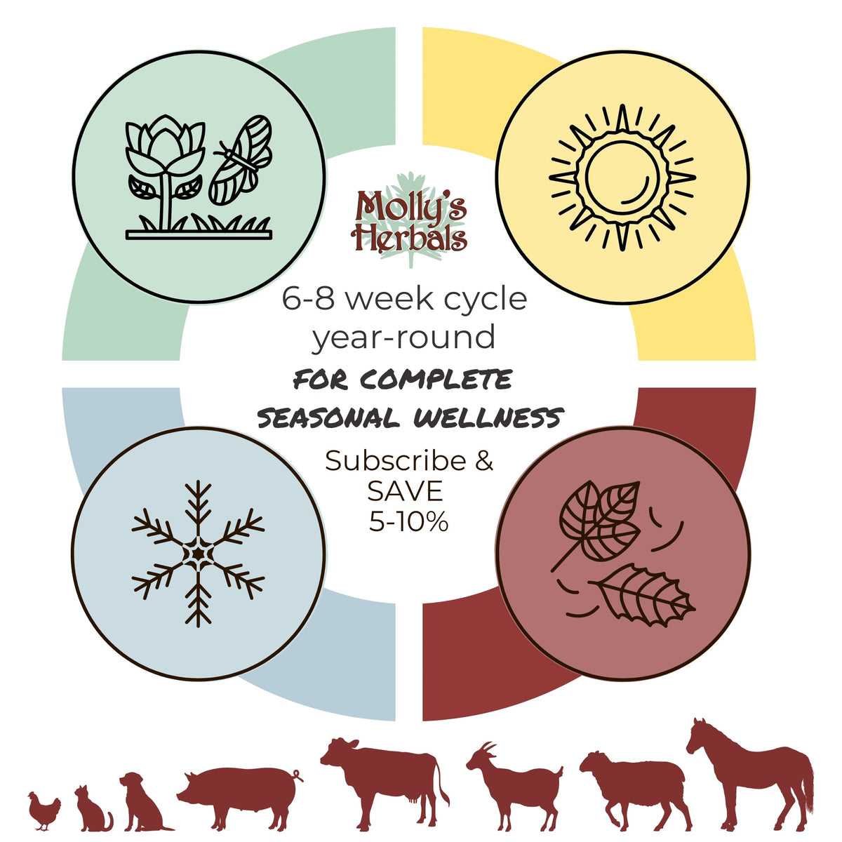 Formula 2 Herbal Weekly Worm Formula Two for All Animals - Molly's Herbals