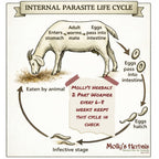Two-part herbal animal wellness kit, default package