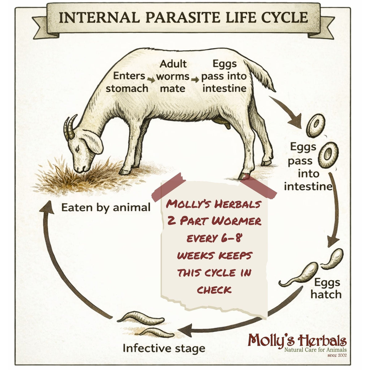 Two-part herbal animal wellness kit, default package