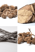 Aquarium Botanicals Bundle product image 1