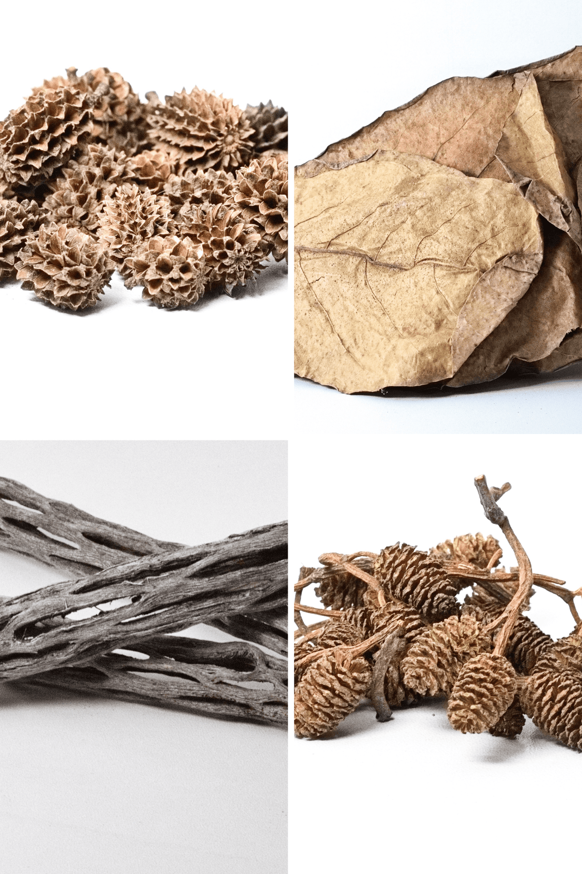 Aquarium Botanicals Bundle product image 1
