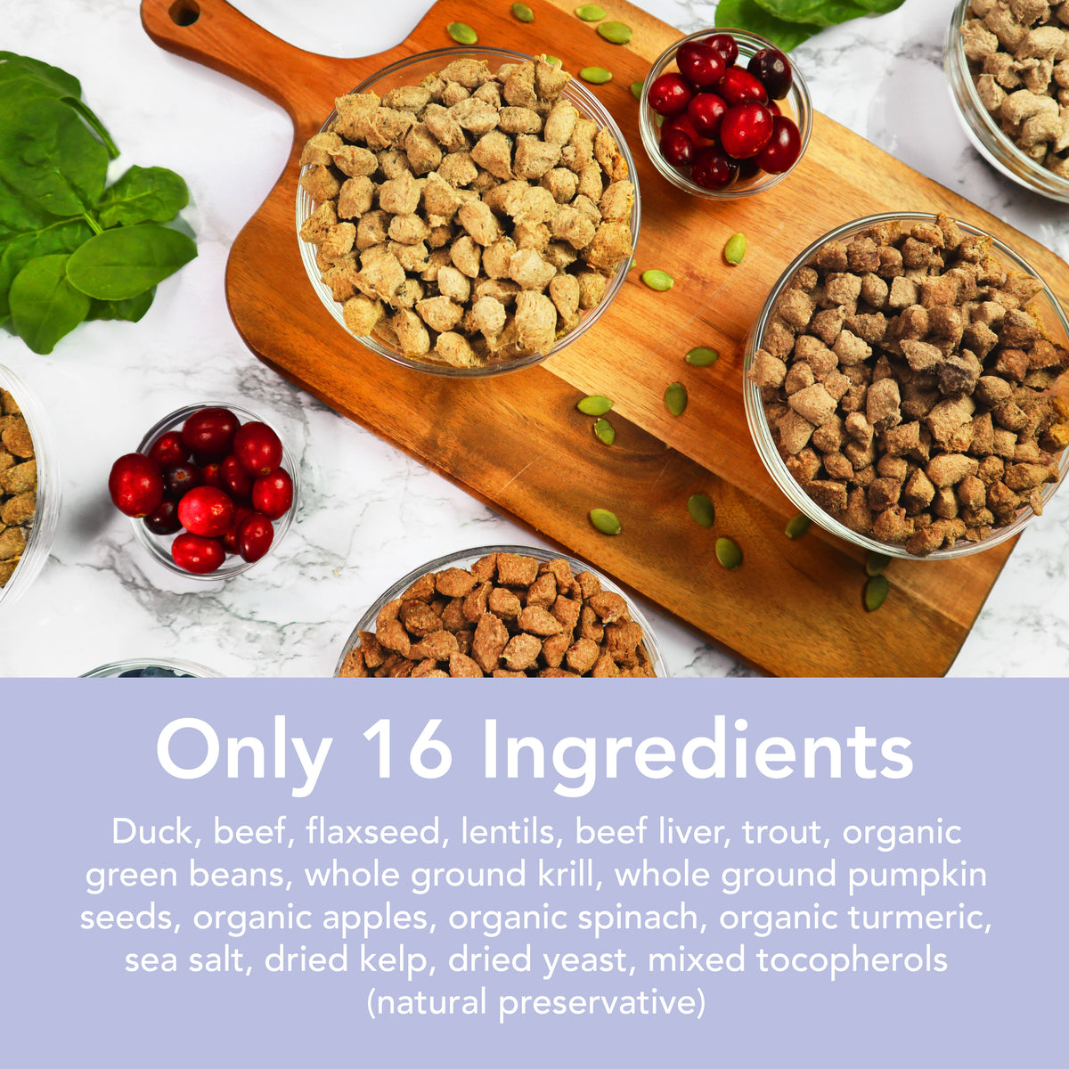 Small-Bite Freeze-Dried Dog Food product image 8