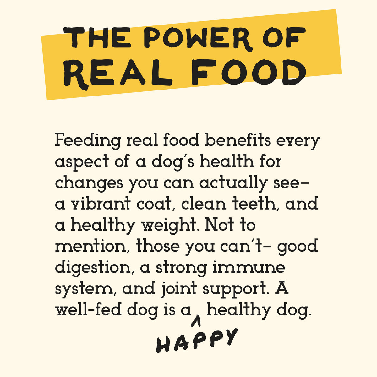 Small-Bite Freeze-Dried Dog Food product image 10