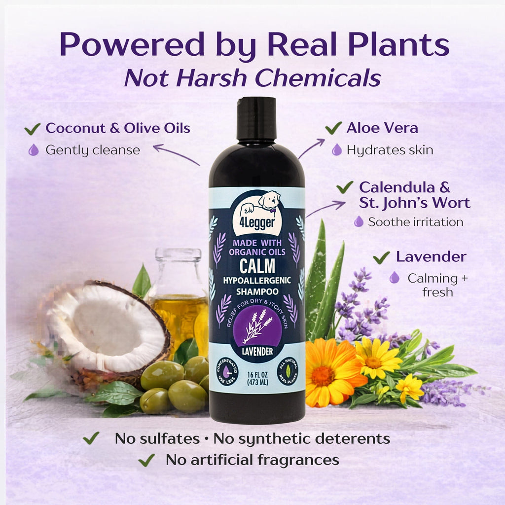 Dog Shampoo product image 3