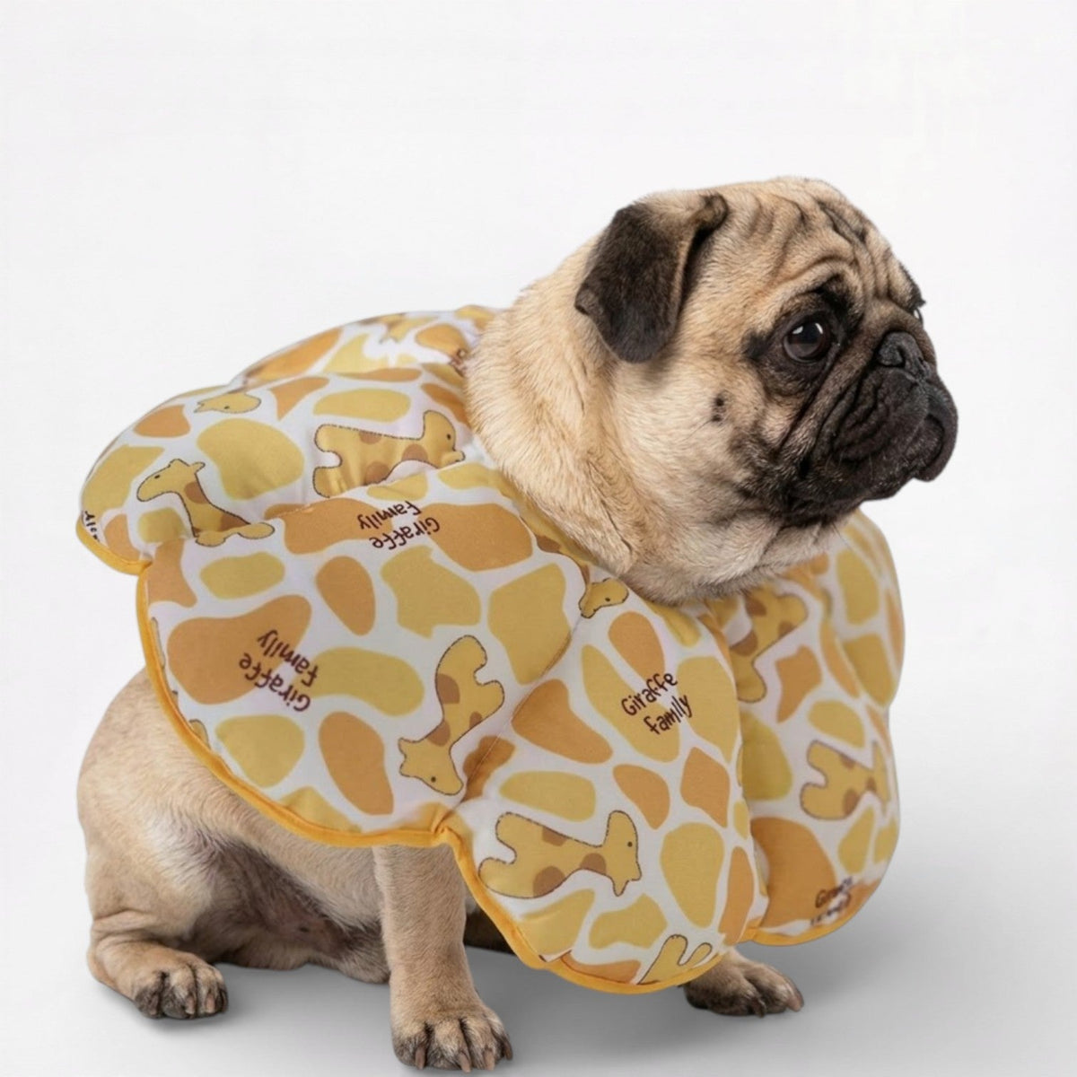 Soft Recovery Collar product image 1
