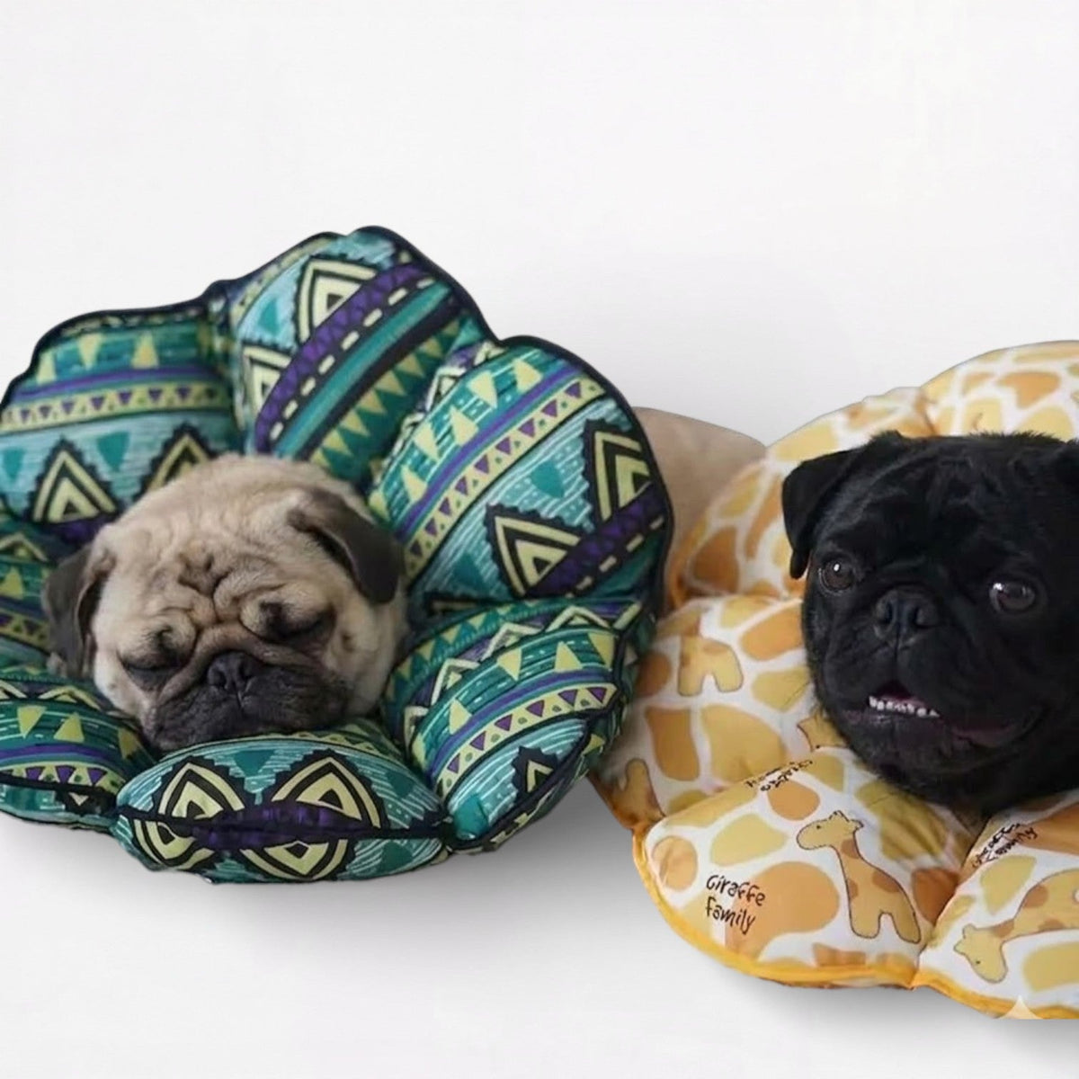 Soft Recovery Collar product image 5