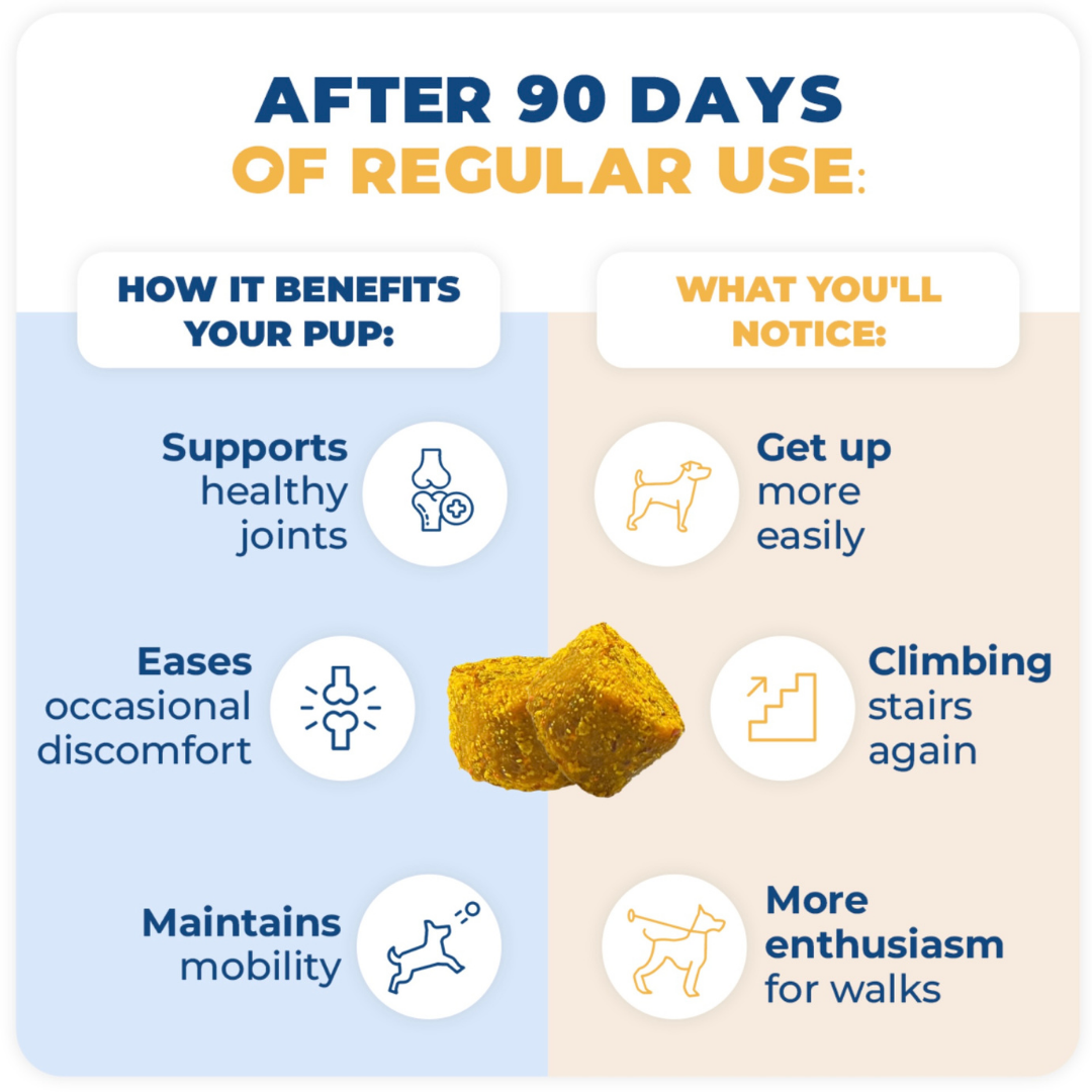 Dog Joint Chews product image 10