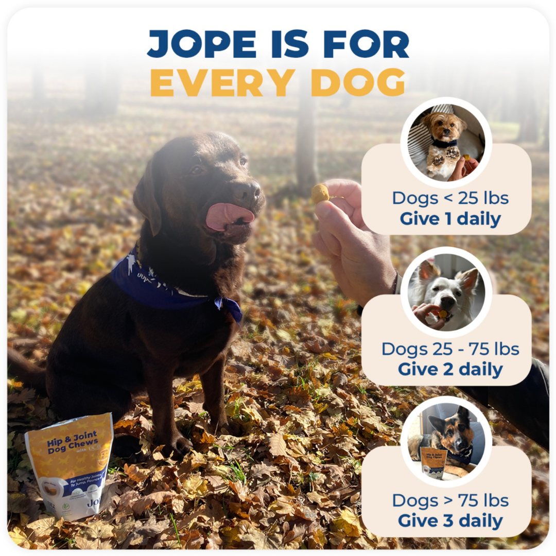 Dog Joint Chews product image 12