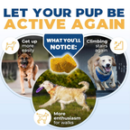 Dog Joint Chews product image 15