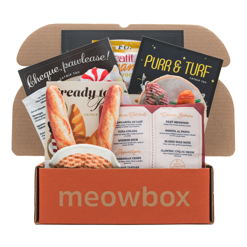 Cat Toy Enrichment Box product image 1